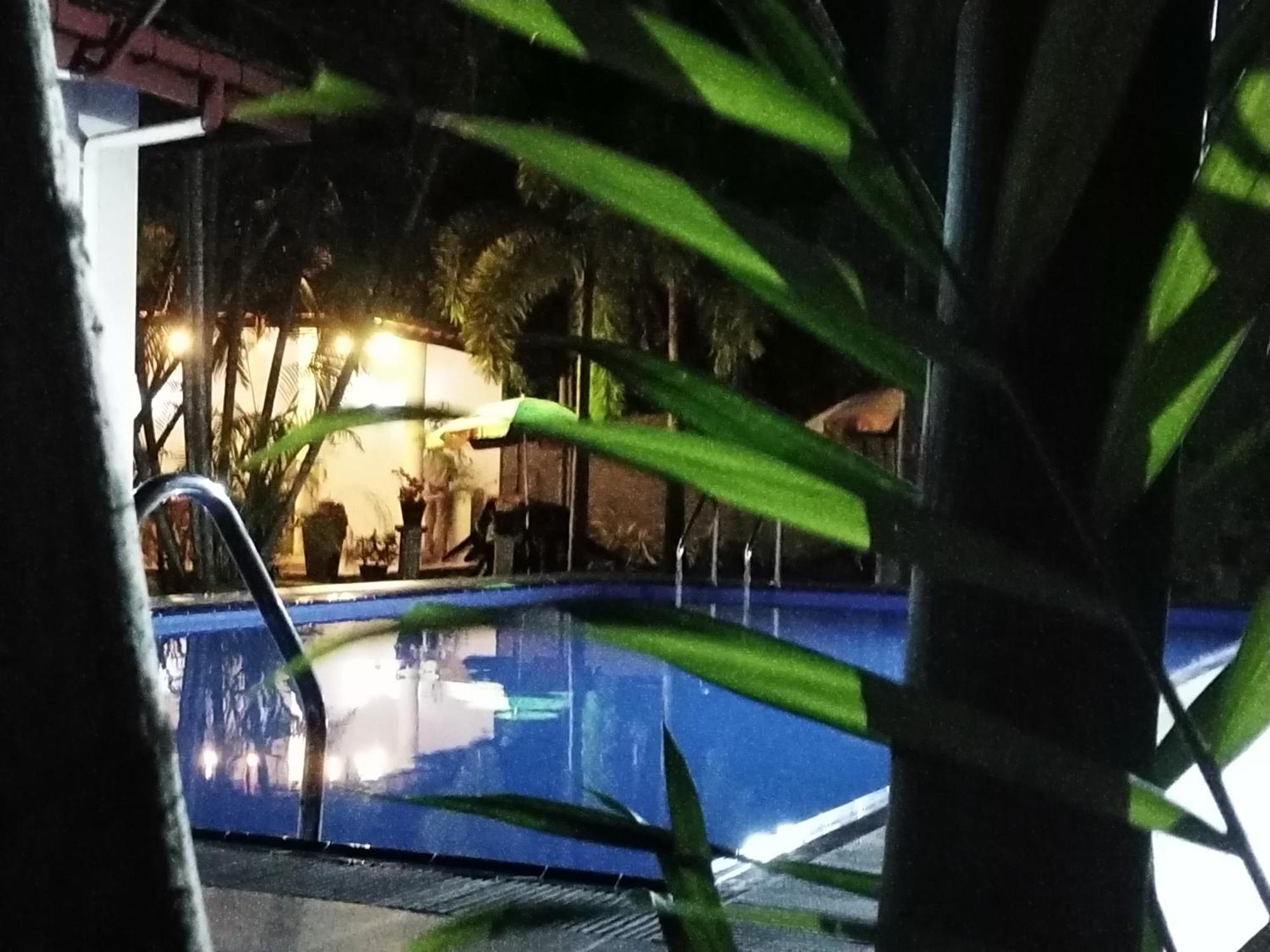 Blue Bell Hotel Negombo Exterior photo