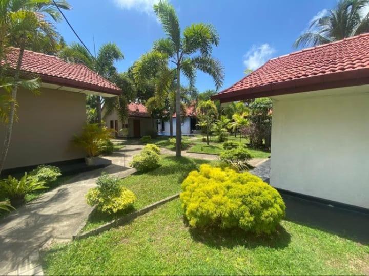 Blue Bell Hotel Negombo Exterior photo